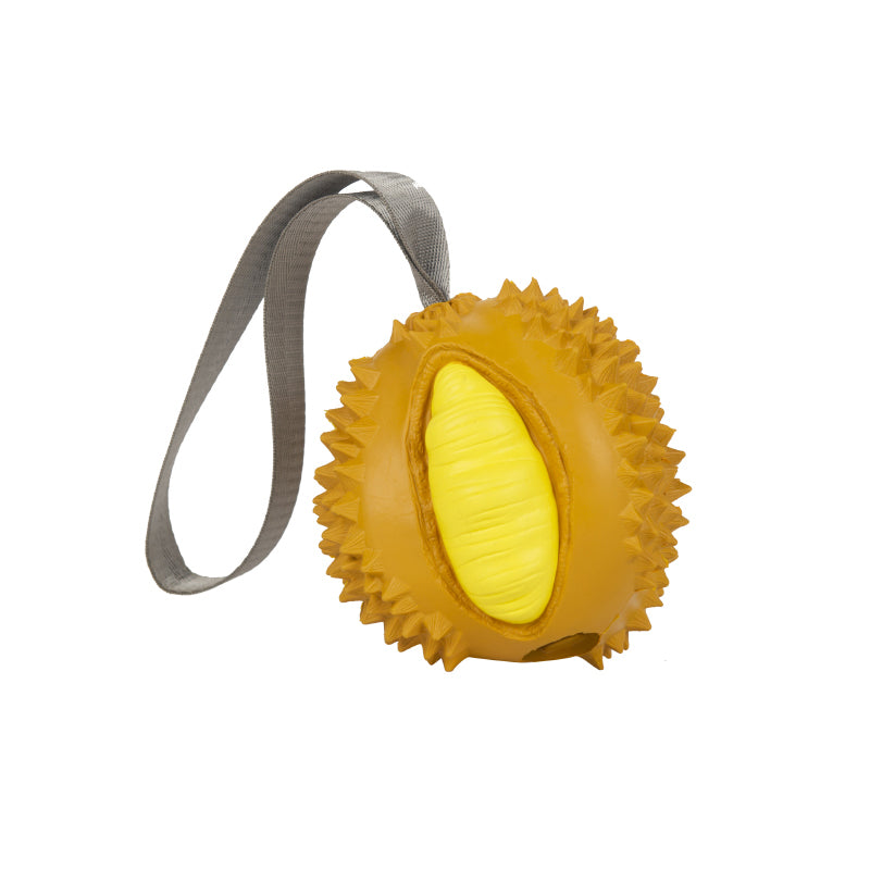 Fruits Chew Toys for Dogs