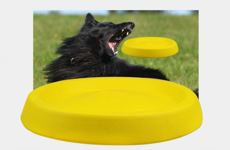 Dogs Frisbee ex:2