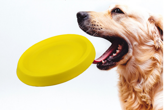 Dogs Frisbee ex:1