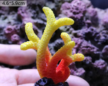 multi colors Fish Tank Decoration, Sea Water Tank, Starfish Resin Ornaments