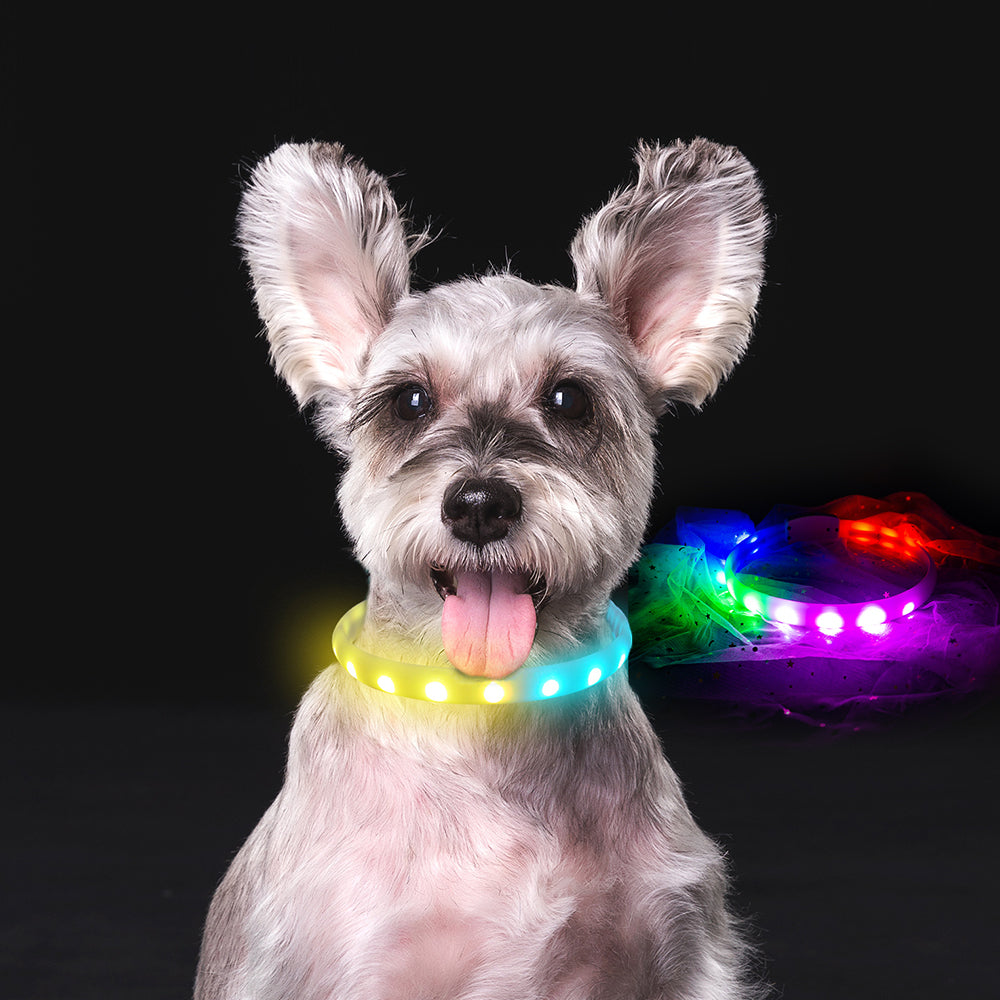 Necklace Anti-Lost Flash Collar for Dogs