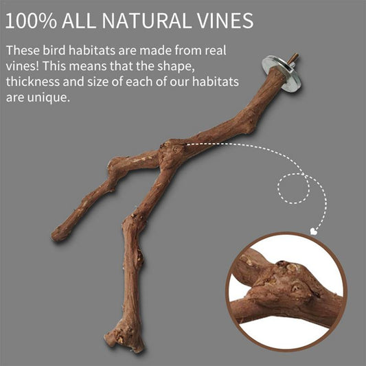 Alll natural Bird Standing Stick Wild Grape Wood Grinding Claw Stick Perching Stick