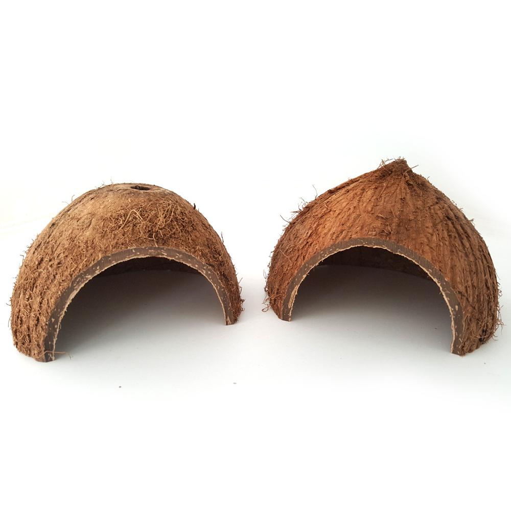 Reptile Cache Cave Natural Nest Coconut Shell