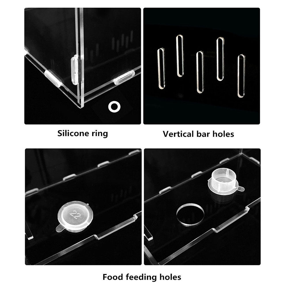 Format 3 Reptile Breeding Box Ex:1