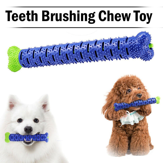 Dog Chew Toys Chewers Teeth Cleaning Oral Toothbrush Bone Brush ex:1