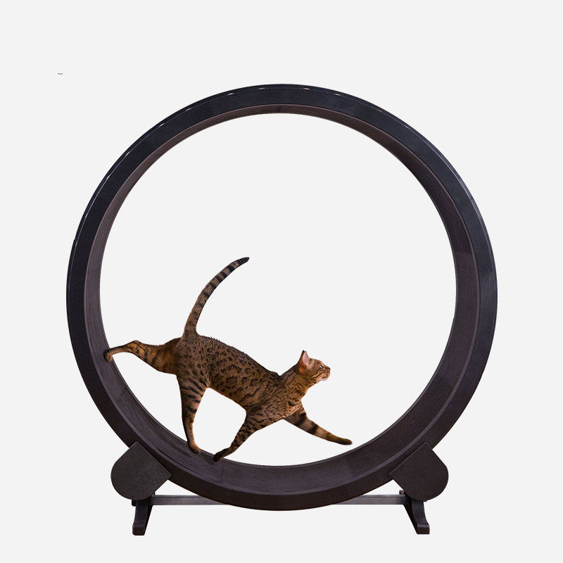 Cat Running Wheel Fitness Toy demo