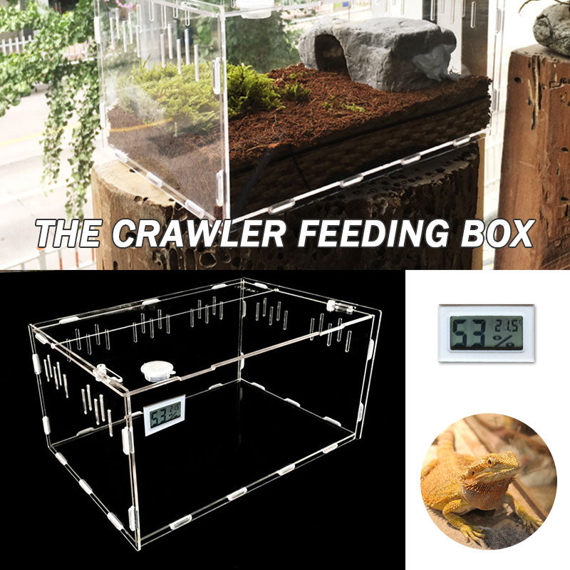 Reptile Breeding Box Ex:1