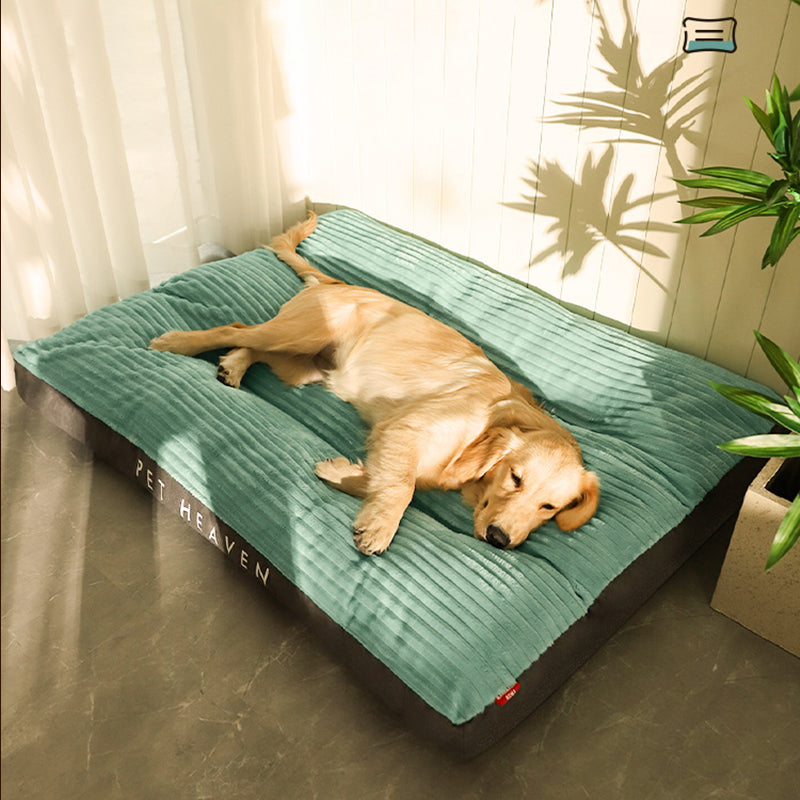 Green Ex:1 Removable And Washable Bed For Dog