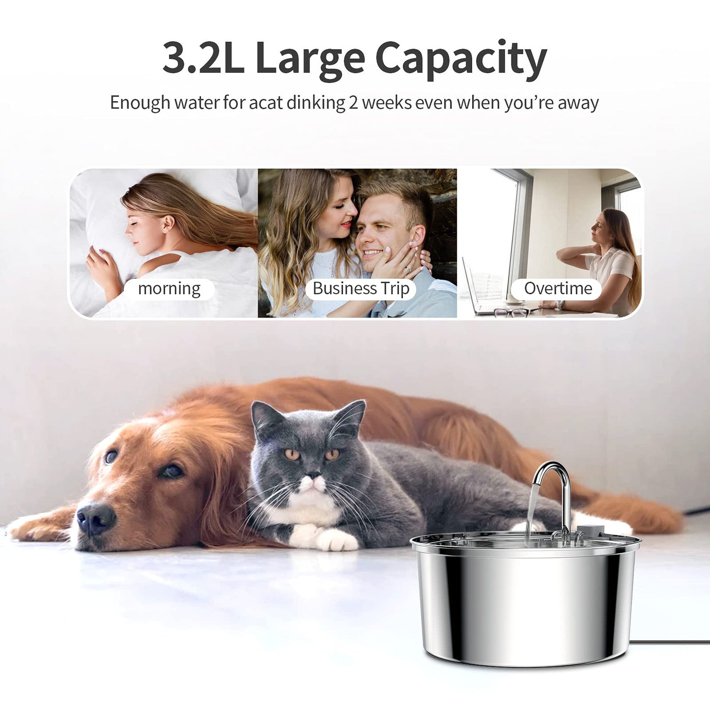 Stainless Steel Water Dispenser Automatic Fountain for Cats