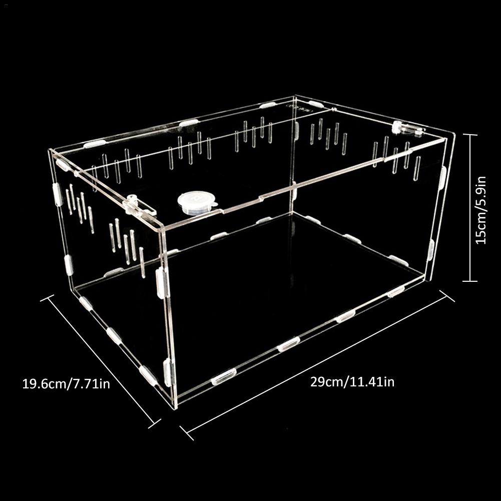 Format 2 Reptile Breeding Box Ex:1