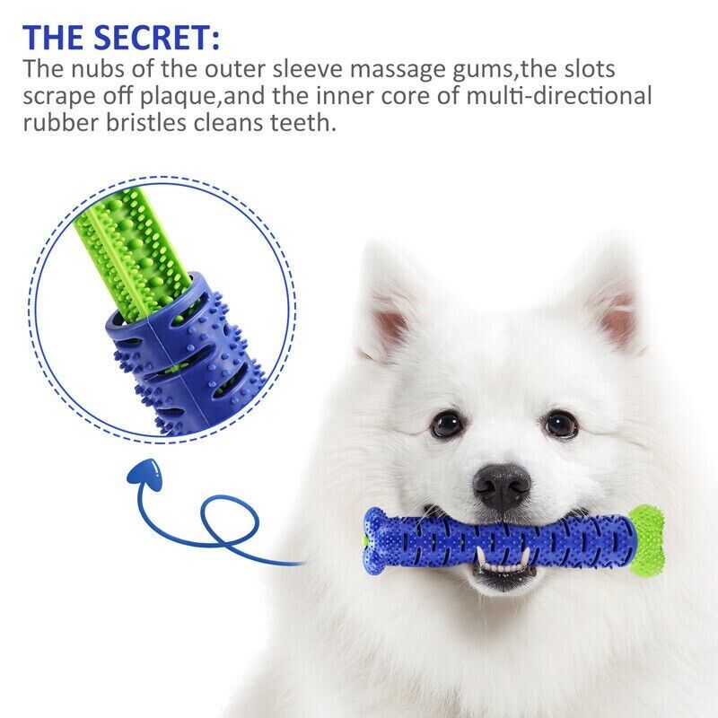 Dog Chew Toys Chewers Teeth Cleaning Oral Toothbrush Bone Brush ex:2