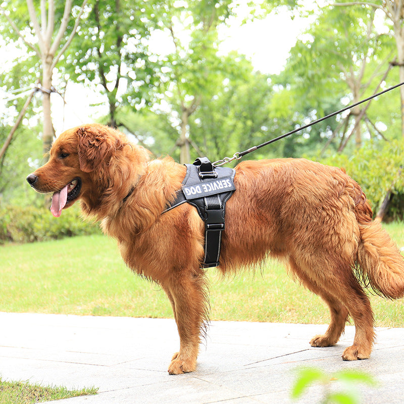 Dog Chest Harness