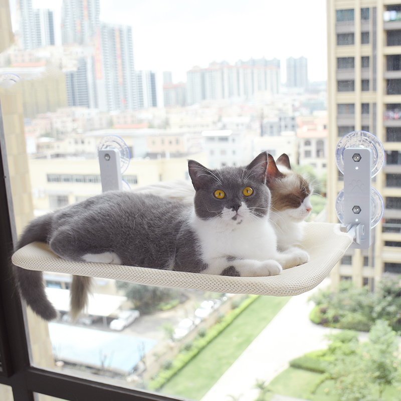 Cat Suction Cup Window Glass Hammock