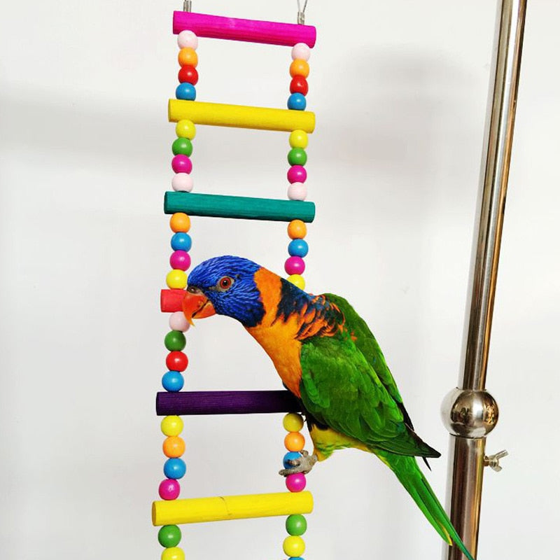 Bird Climbing Toys ex:1