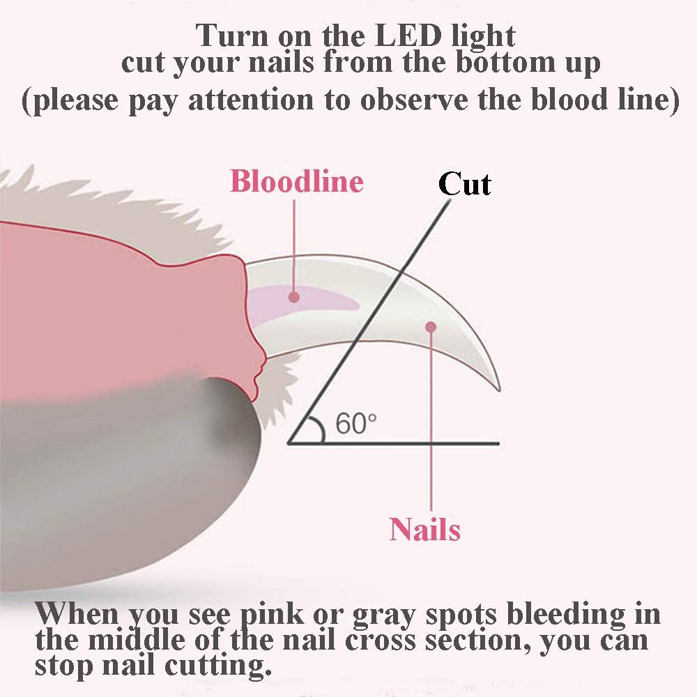 Demonstration Professional LED Light Dog and Cat Nail Clipper