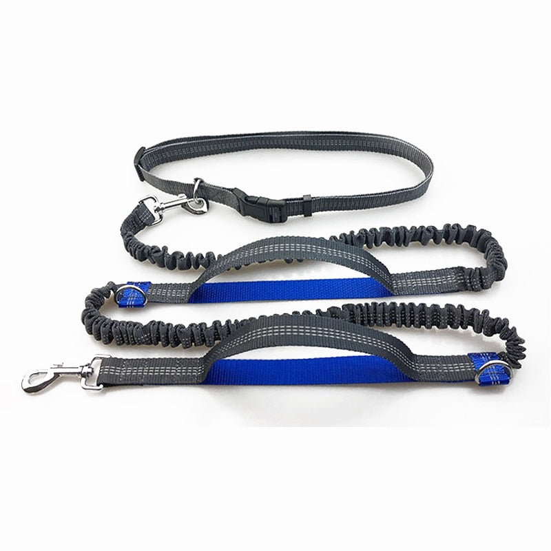 blue Dog Running Leash Rope 2 Hand Control Dog Joging Walking Leash with Reflective Hands Free Pets Double Elasticity Collar Rope