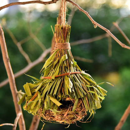 Nest Bird Cage 18 Style