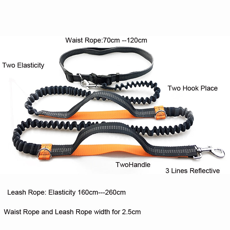 diameter Dog Running Leash Rope 2 Hand Control Dog Joging Walking Leash with Reflective Hands Free Pets Double Elasticity Collar Rope