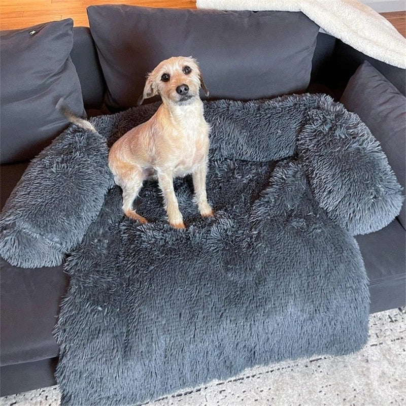 blue Dog Soft Lounger Bed