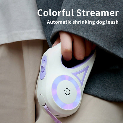 Dog Leash Retractable Collar Spotlight exemple