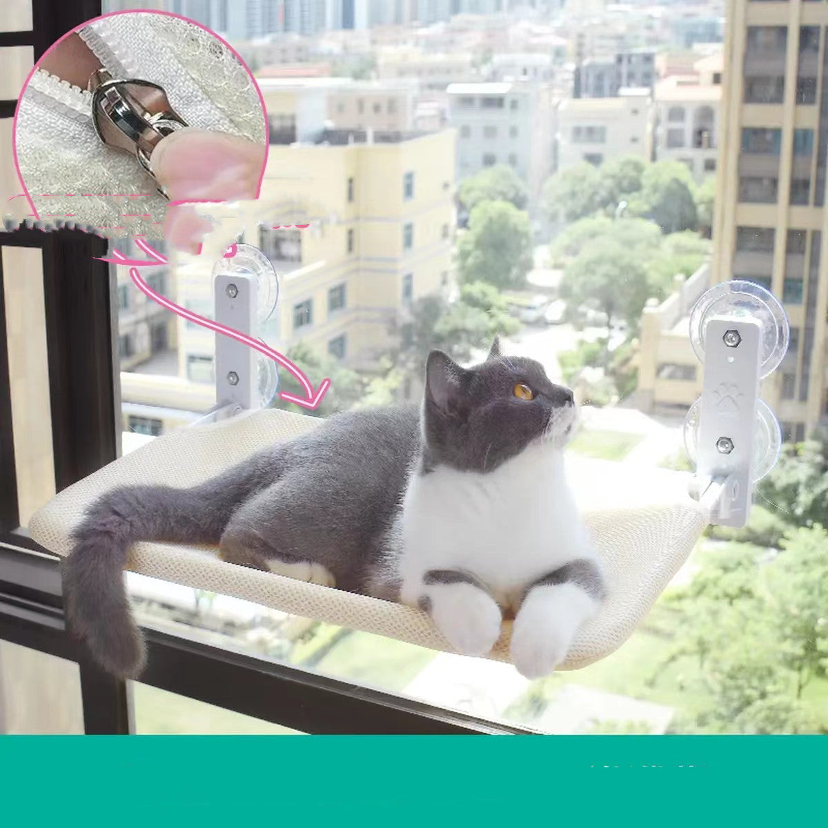 exemple Cat Suction Cup Window Glass Hammock