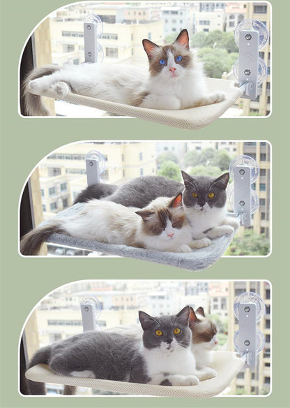 Cat Suction Cup Window Glass Hammock picture