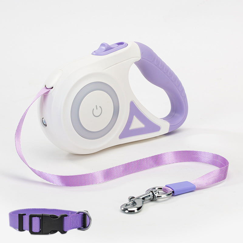 purple Dog Leash Retractable Collar Spotlight