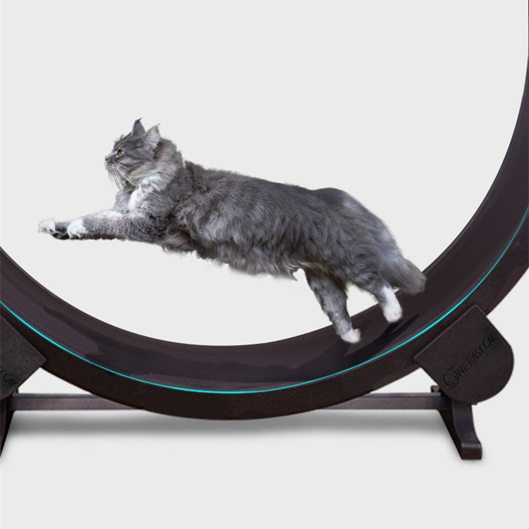 Cat Running Wheel Fitness Toy exemple 2