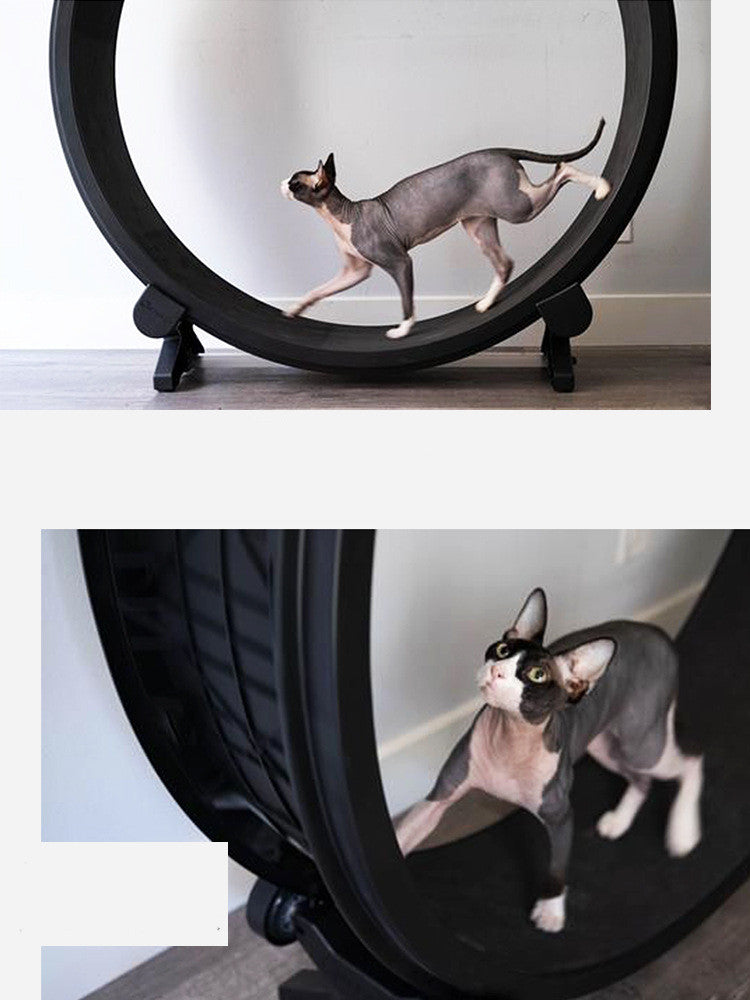 exemple Cat Running Wheel Fitness Toy