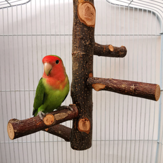 Wood Stand Pole For Bird