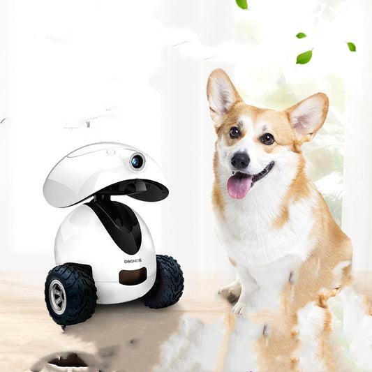 pet robot compagnon front